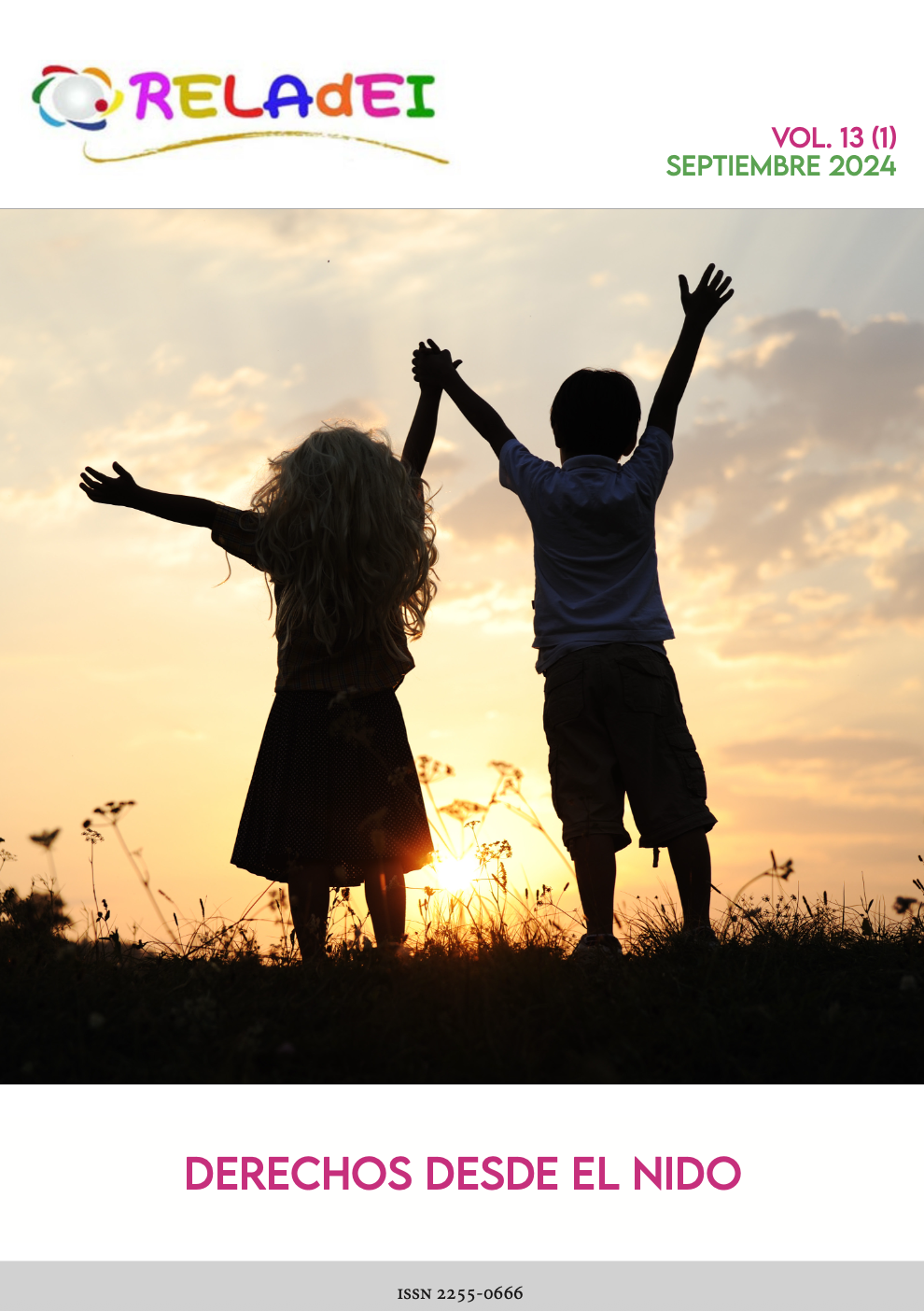 Copertina vol. 13 - n.1